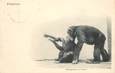 CPA   SOMALIE "Chimpanzee" / SINGE