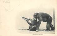 Afrique CPA   SOMALIE "Chimpanzee" / SINGE