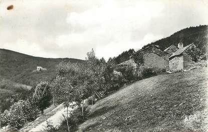 .CPSM  FRANCE 48 "Bagnols les Bains, La forê de la Loubière"