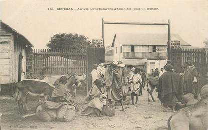 CPA SENEGAL "Arrivée d'une caravane d'Arachides"