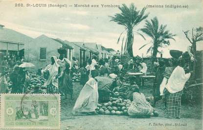 CPA SENEGAL "Saint Louis, le Marché aux Yomboss, melons indigènes"