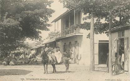 CPA SENEGAL "Tivaouane pendant la traite"