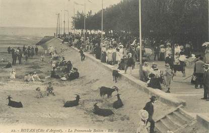 .CPA FRANCE 17 " Royan, La promenade Botton"/ CHEVRE