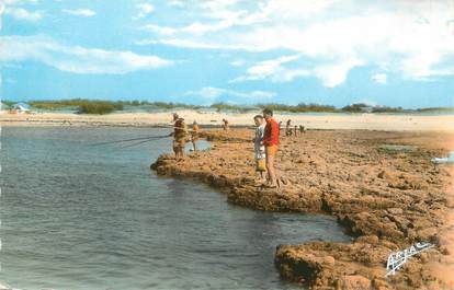 .CPSM   FRANCE 17 " Ile d'Oléron, Chaucre la pêche sur le rocher"