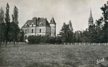 .CPSM  FRANCE 85  "Les Brouzils, Château de Ligny"