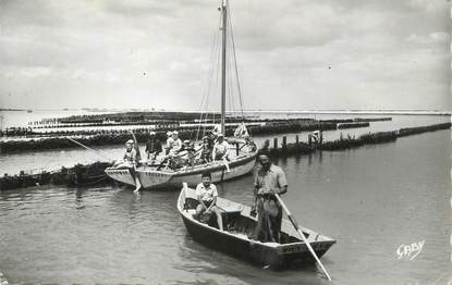 .CPSM  FRANCE 85  "L'Aiguillon La Faute sur Mer, Les Bouchots"