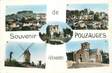 .CPSM  FRANCE 85  "Pouzauges, Vues"