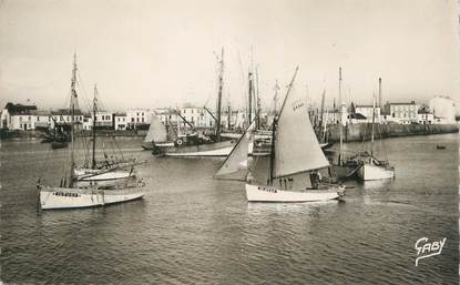 .CPSM  FRANCE 85  "Ile  d'Yeu, Bâteaux de pêche au port"