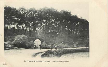 .CPA FRANCE 85  " La Tranche sur Mer, Fontaine ferrugineuse"