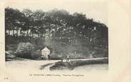 85 Vendee .CPA FRANCE 85  " La Tranche sur Mer, Fontaine ferrugineuse"