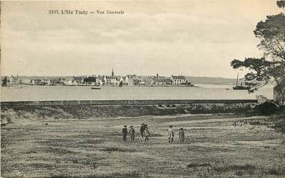 CPA FRANCE 29 "L'Ile Tudy, vue générale"