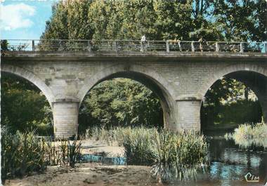 . CPSM  FRANCE 86 " Liglet, Le pont sur la Benaize"