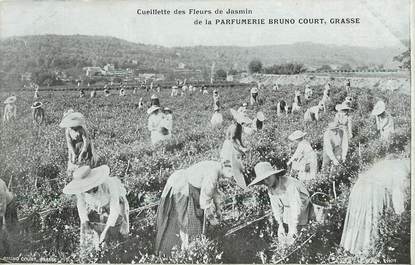 CPA FRANCE 06 "Grasse, cueillette des fleurs de Jasmin de la Parfumerie Bruno Court"