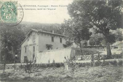 .CPA FRANCE 34 "   Puechagut,  Maison forestière"