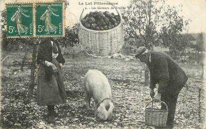 CPA FRANCE 46 "Le Lot pittoresque, les gaveurs de truffes" / FOLKLORE / COCHON