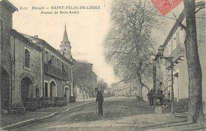 . CPA FRANCE  34 " St Félix de Lodez, Avenue St André "