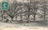 35 Ille Et Vilaine . CPA FRANCE  35  " Plélan le Grand, Le champ de Foire"