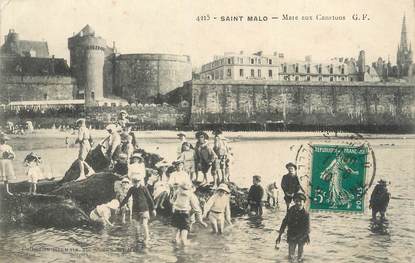 . CPA FRANCE  35 "St  Malo, Mare aux canetons"