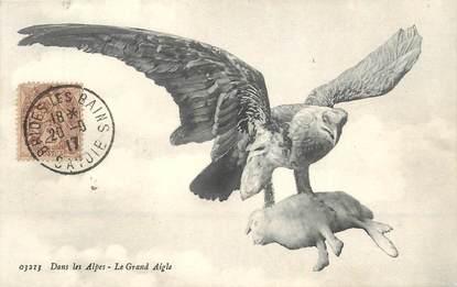 CPA FRANCE 73 "Dans les Alpes, le grand aigle"