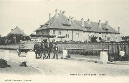 .CPA FRANCE 74 " Thonon les Bains, Château de Ripaille"