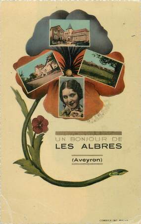 .CPA FRANCE 12 "Les Albres, Vues"