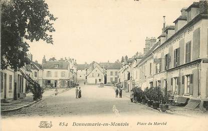 CPA FRANCE 77  "Donnemarie en Montois, Place du Marché"