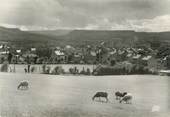 12 Aveyron .CPSM  FRANCE 12 "  Séverac le Château, Le quartier de la gare"