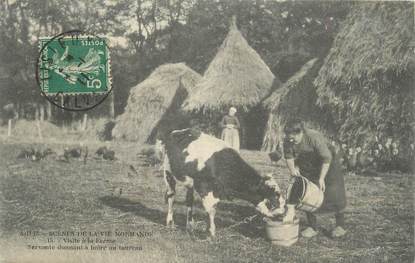 .CPA FRANCE 14  "Scènes de la vie Normande, servante donnant à boire au taureau" / FOLKLORE