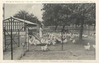 .CPA  FRANCE 14  "St Gatien des Bois, Elevage du Domaine du Clos Joli"