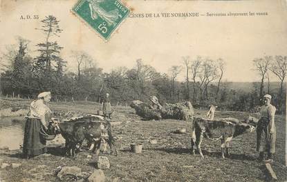 .CPA  FRANCE 14 "Scènes de la vie Normande, Servantes abreuvant les veaux" / FOLKLORE