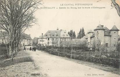 .CPA FRANCE 15  "Montsalvy, Entrée du Bourg"
