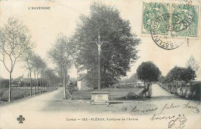 .CPA FRANCE 15   "Pléaux, Fontaine de l'Arbre"