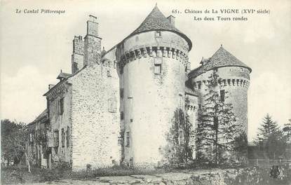 .CPA FRANCE 15   " La Vigne, Le Château les deux tours rondes"
