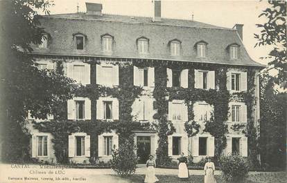 .CPA FRANCE 15   " Viellespesse, Château du Luc"
