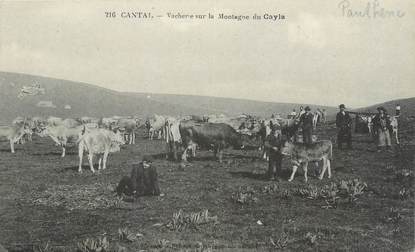 .CPA  FRANCE 15  "Paulhenc, Vacherie sur la montagne du Cayla"