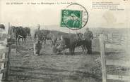 15 Cantal .CPA  FRANCE 15  "Sur la Montagne, Traite des vaches"/ FOLKLORE