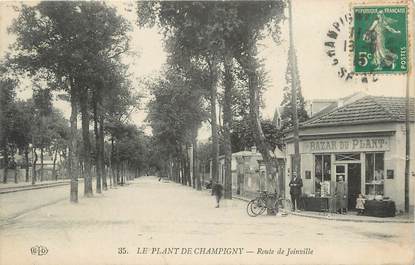 .CPA FRANCE 94  " Le Plant de Champigny, Route de Joinville"