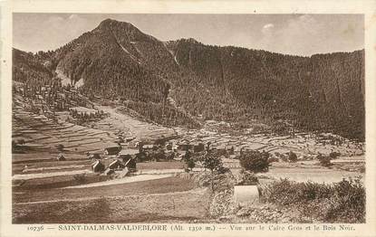 .CPA  FRANCE 06  "St Dalmas - Valdeblore, Vue sur le Caire Gros et le Bois Noir"