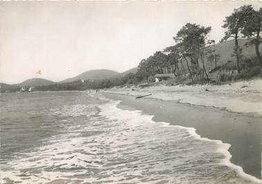 CPSM FRANCE 83 "Cavalaire sur Mer, la Plage vers Pardigon"