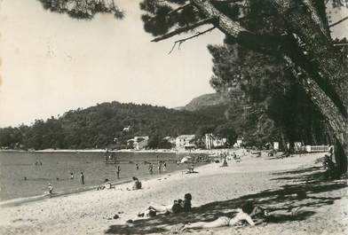  CPSM FRANCE 83 "Cavalaire  sur Mer,  la Baie et le pont"