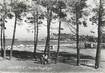  CARTE PHOTO FRANCE 83 "Cavalaire  sur Mer, vue de la plage"