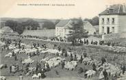 19 Correze .CPA  FRANCE 19  "Peyrelevade, Le champ de foire"