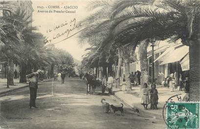 .CPA FRANCE 20 / CORSE "Ajaccio, Avenue du Premier consul"