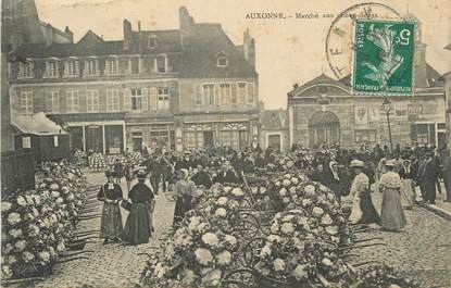 .CPA FRANCE 21 "Auxonne, Marché aux choux fleurs"