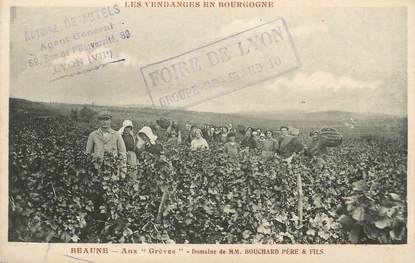 .CPA FRANCE 21 "Beaune, Domaine de Mr Bouchard, les vendanges"