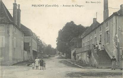 .CPA   FRANCE 21 "Puligny, Avenue de Chagny"