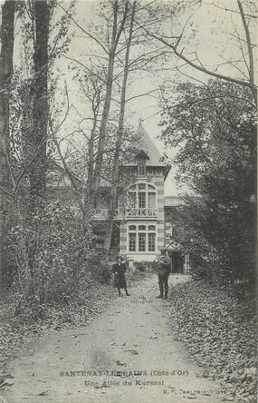 .CPA   FRANCE 21 "Santenay les Bains, Une allée de Kursaal"