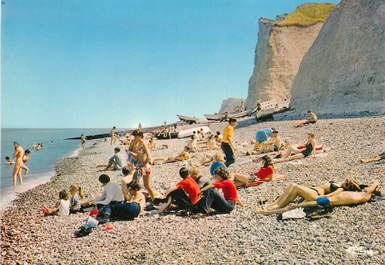  CPSM FRANCE 76 "Berneval sur Mer, les falaises et la plage"