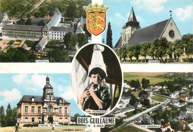  CPSM FRANCE 76 " Bois Guillaume "