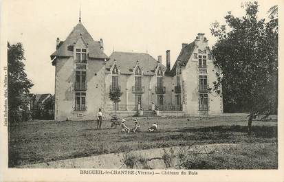 . CPA FRANCE 86 "Brigueil le Chantre, Château du Bois "